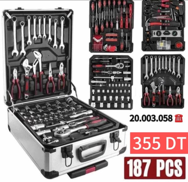 Boîte à Outils Professionnels 187 PCS